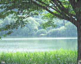 青春飞扬｜彭灼萍：《春雨》