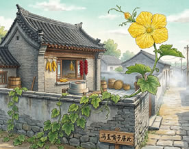 阅读理解｜萧红《呼兰河传》考点穿透试题集专项训练，五、阅读理解题，呼兰河传（节选）